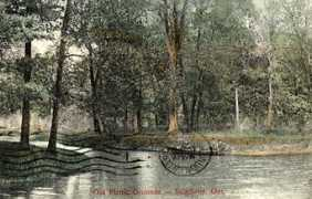 sydenhamdiscovery.ca Meekison