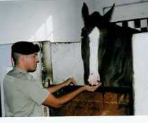 users.med.up.pt Meigos