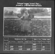 sechtl-vosecek.ucw.cz Mekyna