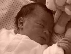 cwdebuire.free.fr Melinee