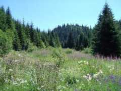 panoramio.com Melletti