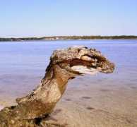 bribie2005.biscc.com Menov