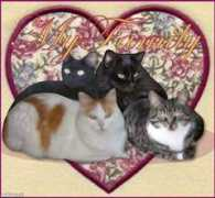 Meowz