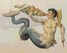 Merboy