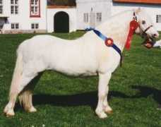 mayliestud.com Meredid