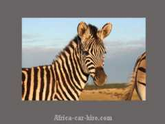 africa-car-hire.com Merensky