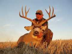 albertahunt.com Mfmd