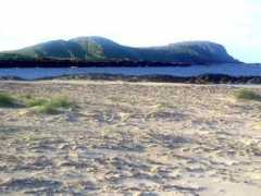 Mhara