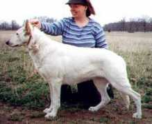 regalwise.com Mibach