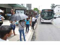 Mibus