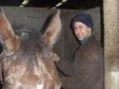 tarcanfel.org Micahel