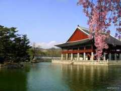 tripadvisor.ie Migabon