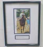 thegrandstandinc.com Migliore