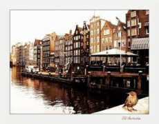 treklens.com Mihailovici