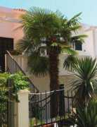 apartmani-budva.com Mihovic