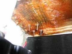 pearson35.com Mikhaya