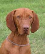 Miksha