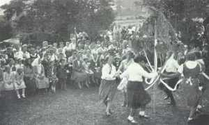 kohoutikriz.org Milesic
