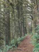 home.ix.netcom.com Milikien