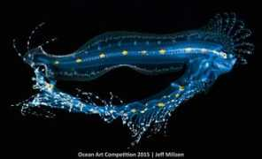 bigblue.reblog.hu Milisen