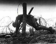 lagrandeguerra.net Militei