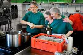 dagbladet-holstebro-struer.dk Millioner