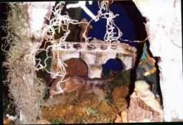 fotos.navidaddigital.com Milona