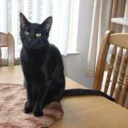 catterydunoe.nl Miluska