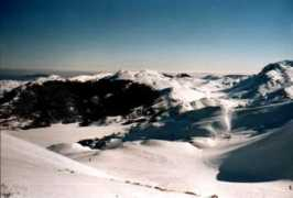 amicomol.com Minarde