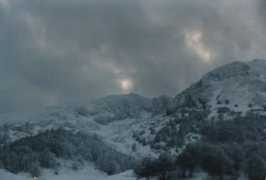 amicomol.com Minarde