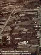 amicomol.com Minarde