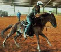 karmafarms.com Minatrea