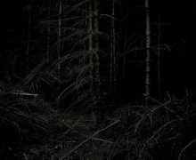 exponto.spavia.com Mingard