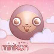Minikon
