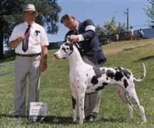 home.earthlink.net Mirandae