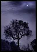 Misterious
