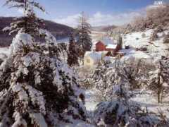 Mitriy