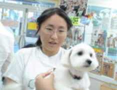 happy-tail.jp Miyamaru