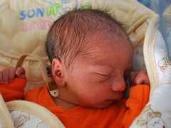 prerovsky.denik.cz Mizikar