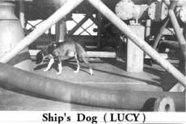 usscaloosahatchee.org Mlucy