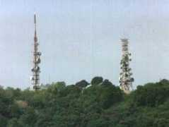 elettrosmogtex.com Mmario