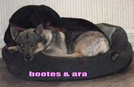 dobermantalk.com Mochali