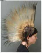 Mohawk