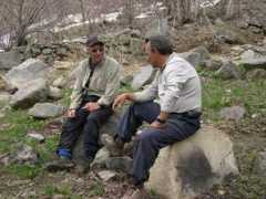 aliweblog.com Mohsenin