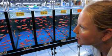 ellitoral.com Mollerach