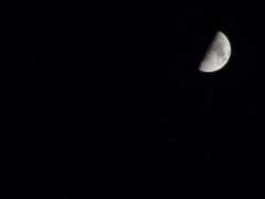 Mond
