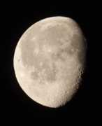 Mond