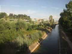 panoramio.com Mondego