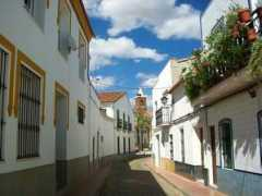 godesalco.com Monesterio