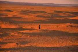 Mongole